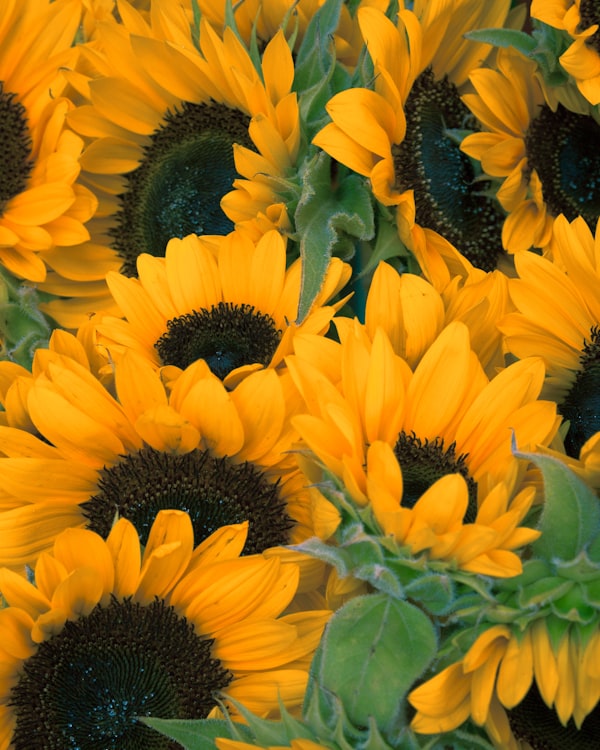 Весеннее настроение