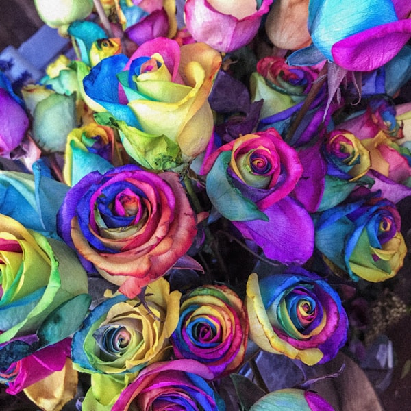 Корзина счастья